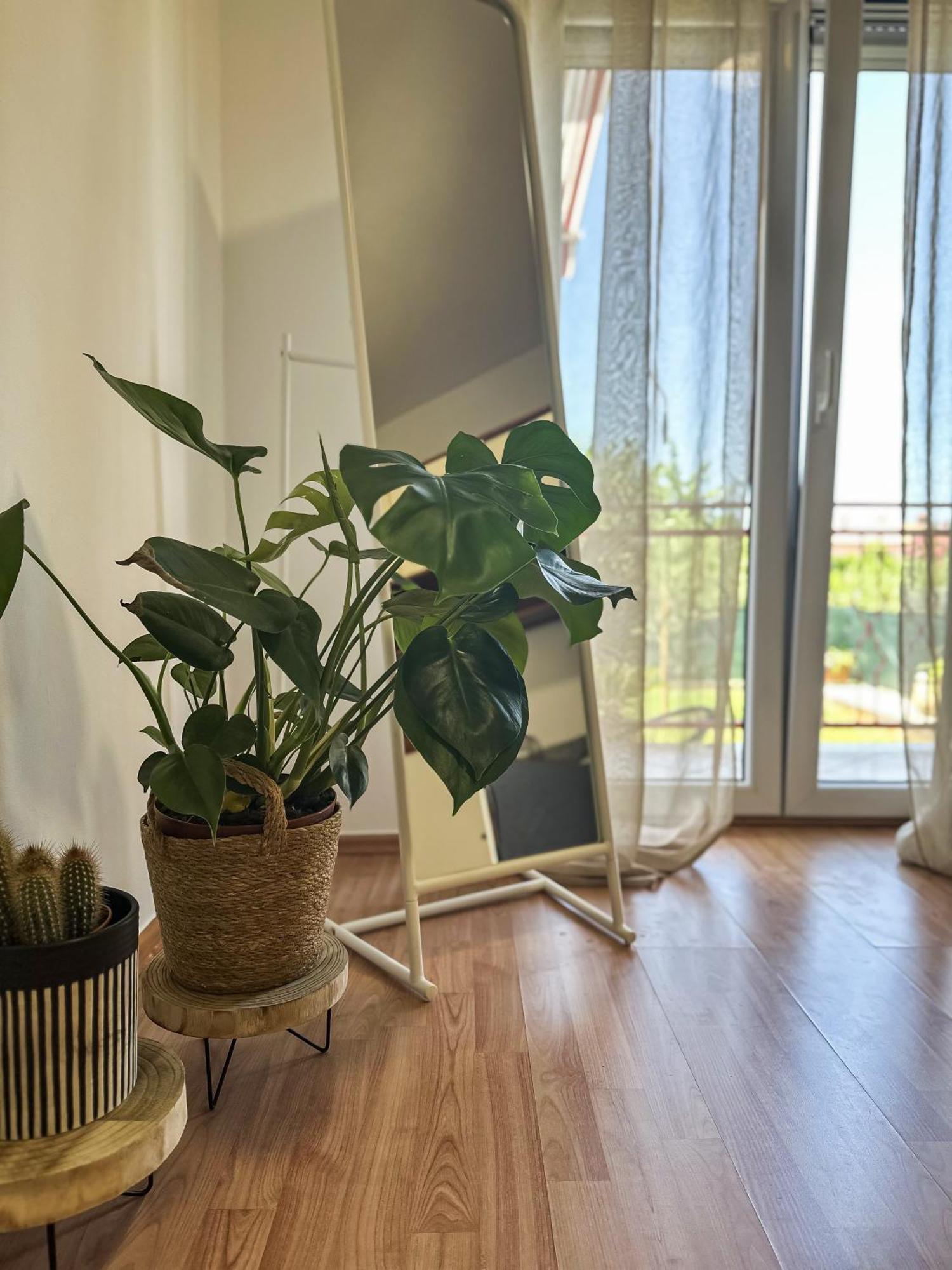 Apartments Dent Умаг Екстериор снимка